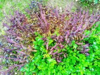 IMG-20191001-WA0077.jpg