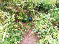 IMG-20191001-WA0076.jpg