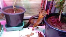DSC_0476.JPG DSC_0476.JPG