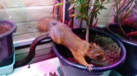DSC_0477.JPG DSC_0477.JPG