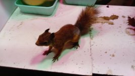 DSC_0478.JPG DSC_0478.JPG