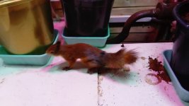DSC_0480.JPG DSC_0480.JPG