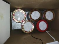 IMG_20191002_065350.jpg