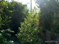 IMG-20191002-WA0022.jpg
