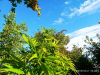 IMG-20191002-WA0019.jpg