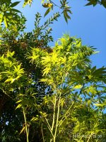IMG-20191002-WA0014.jpg