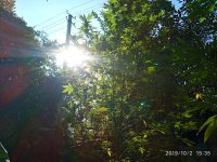 IMG-20191002-WA0012.jpg