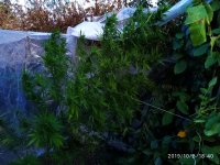 IMG-20191002-WA0013.jpg