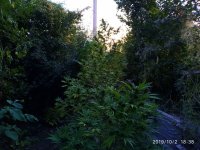 IMG-20191002-WA0007.jpg