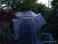 IMG-20191002-WA0017.jpg