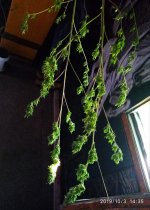 IMG-20191003-WA0004.jpg