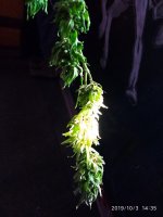 IMG-20191003-WA0001.jpg