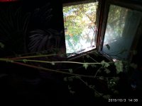 IMG-20191003-WA0000.jpg