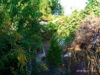 IMG-20191004-WA0004.jpg