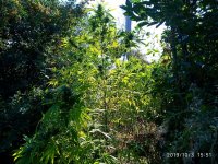 IMG-20191004-WA0005.jpg