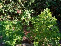 IMG-20191003-WA0005.jpg