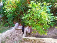 IMG-20191005-WA0014.jpg