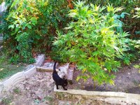IMG-20191005-WA0022.jpg