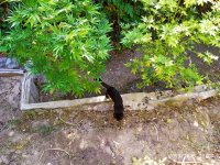 IMG-20191005-WA0016.jpg