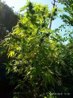 IMG-20191005-WA0021.jpg
