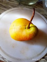 IMG-20191005-WA0028.jpg