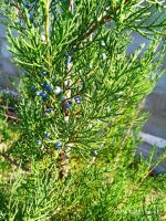 IMG-20191005-WA0029.jpg
