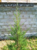IMG-20191005-WA0030.jpg