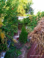 IMG-20191006-WA0001.jpg
