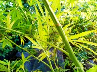IMG-20191006-WA0016.jpg