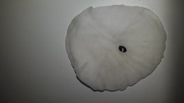 20191007_155115.jpg