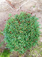 IMG-20191008-WA0004.jpg