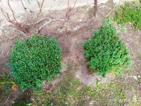 IMG-20191008-WA0003.jpg
