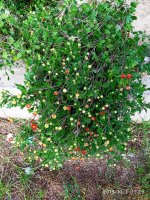 IMG-20191008-WA0001.jpg
