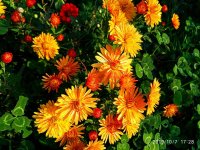 IMG-20191008-WA0002.jpg