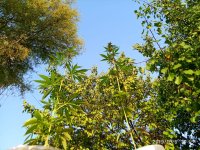 IMG-20191008-WA0005.jpg