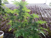 photo_2019-10-08_12-11-26 (2).jpg