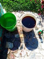 IMG-20191009-WA0008.jpg