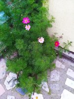 IMG-20191009-WA0013.jpg