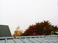 IMG-20191009-WA0011.jpg