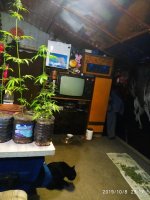 IMG-20191009-WA0015.jpg