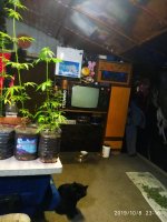 IMG-20191009-WA0016.jpg