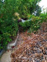 IMG-20191009-WA0023.jpg