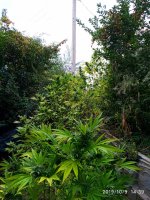IMG-20191009-WA0017.jpg