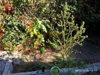IMG-20191010-WA0000.jpg