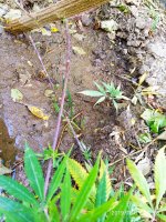 IMG-20191011-WA0014.jpg