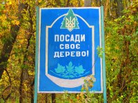 IMG_2539.JPG