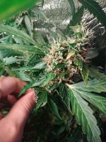 P91012-141510.jpg