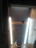 IMG_20191014_181208.jpg