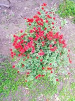 IMG-20191015-WA0008.jpg