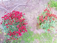 IMG-20191015-WA0007.jpg